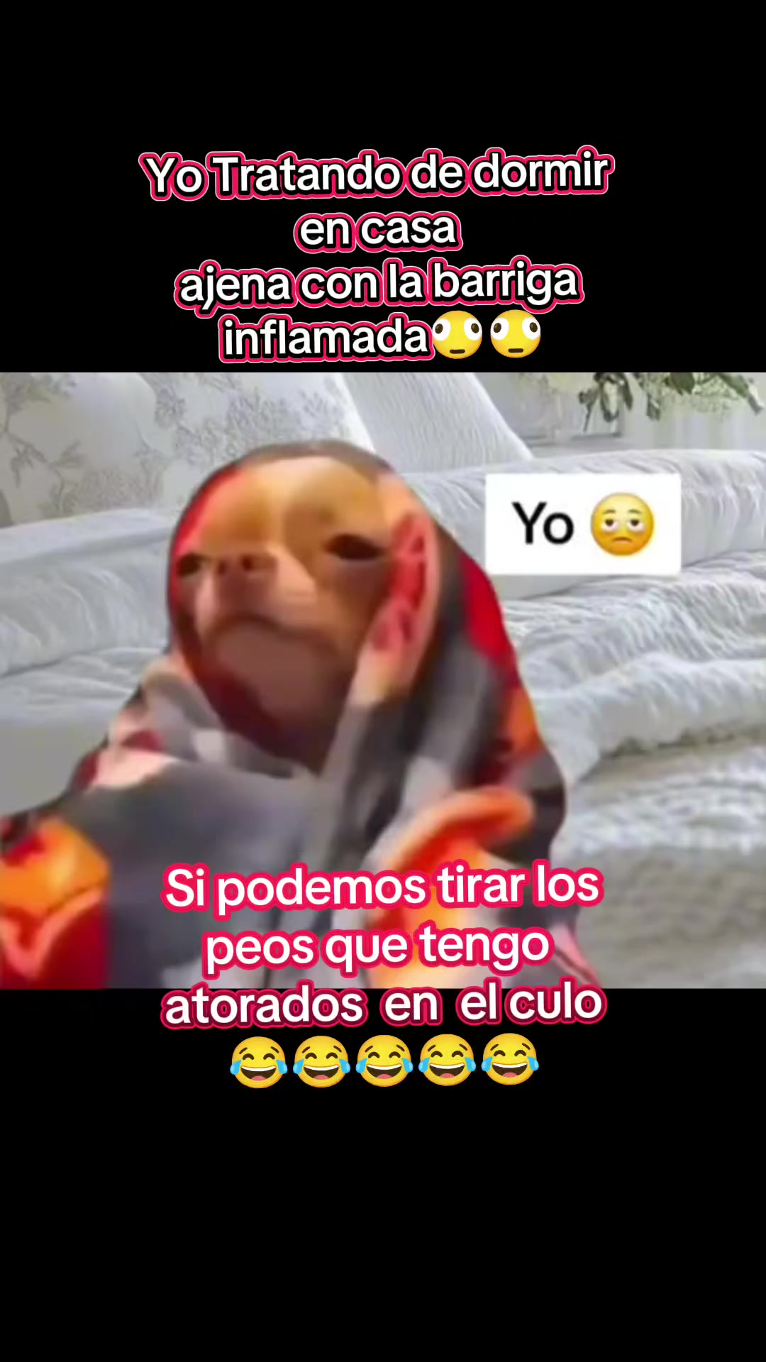 @Maria Fajardo ๐๐๐๐๐๐๐๐