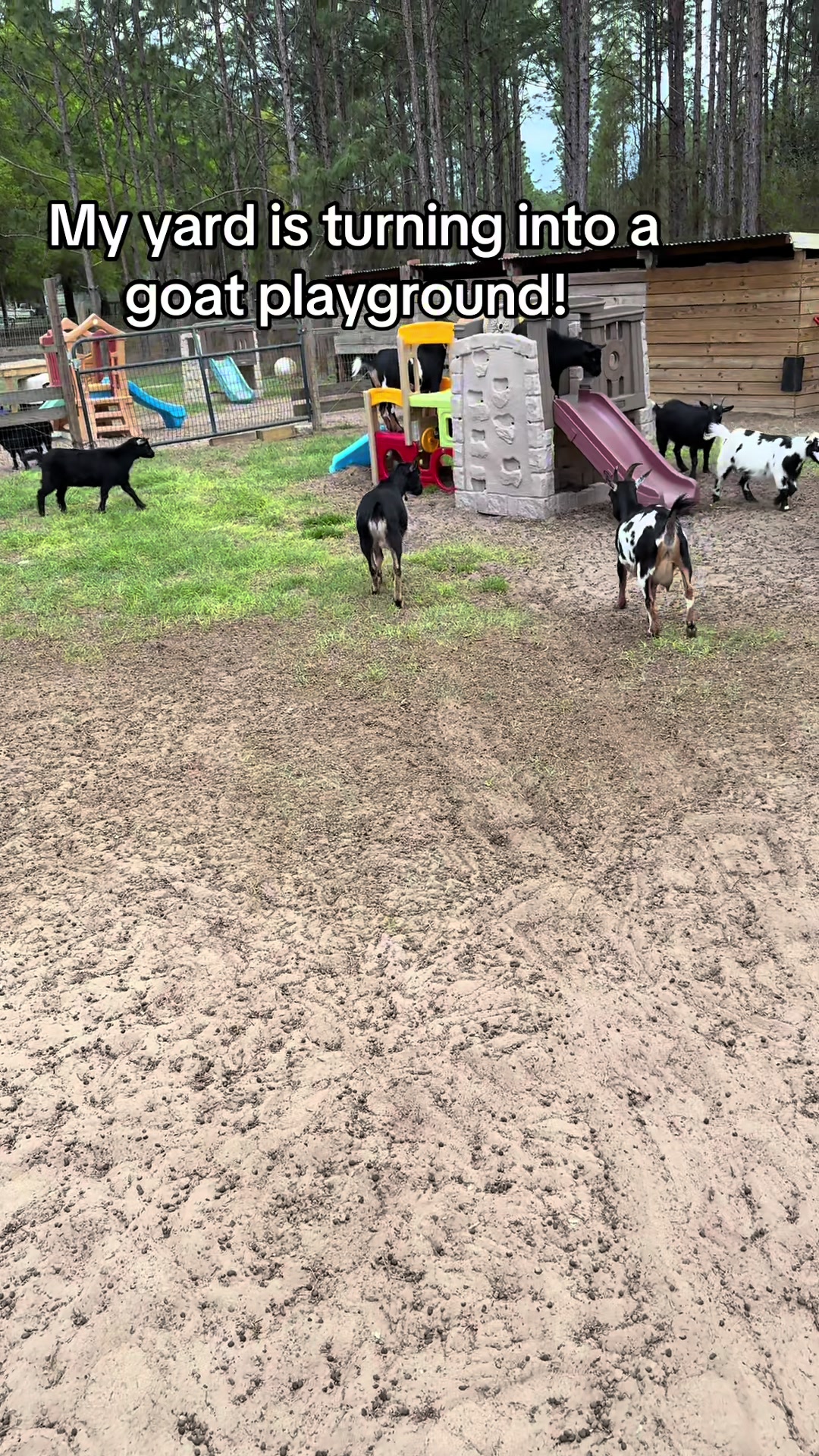 @Nature’s Spirit Farm & Forest