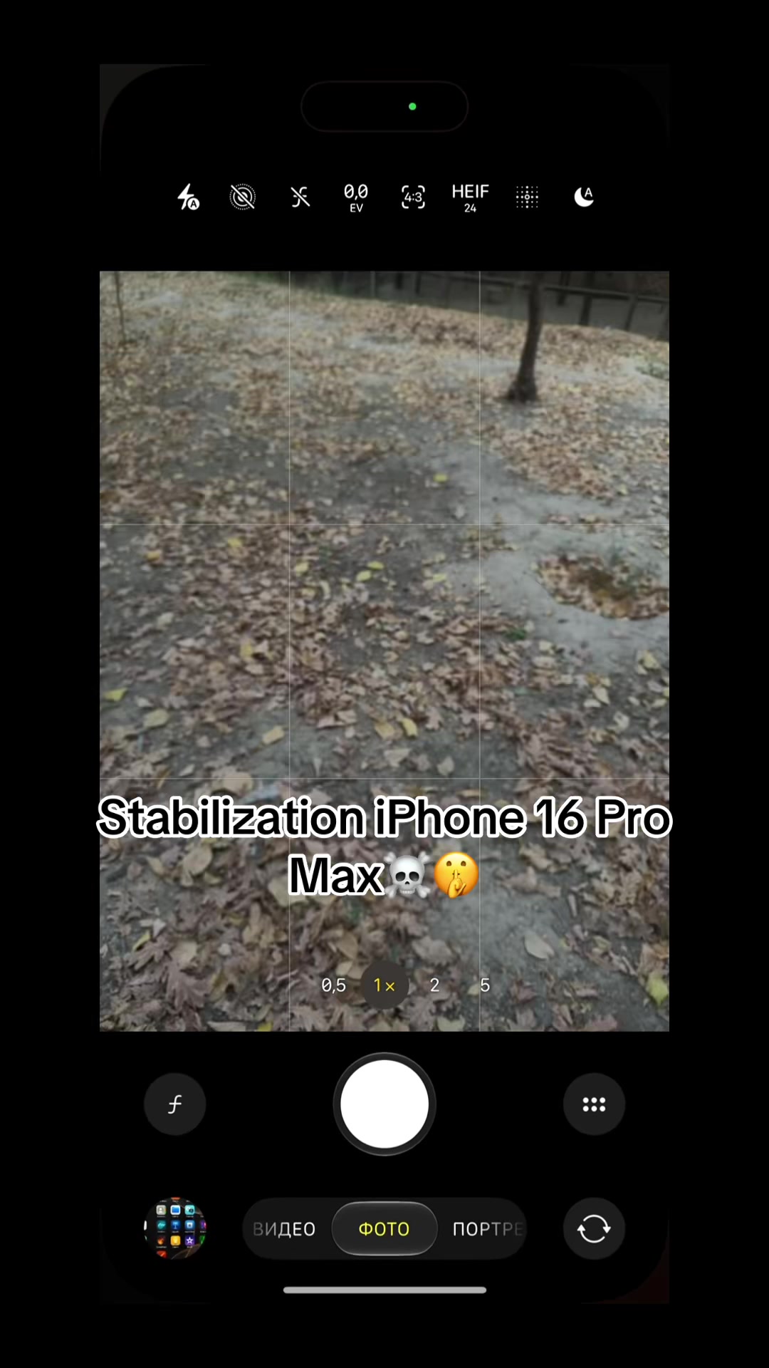 @iPhone 16 Pro Max and S25Ultra