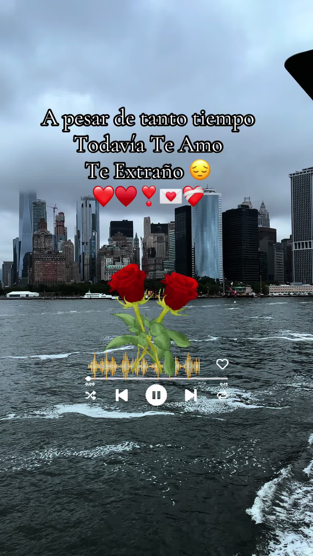 @🇲🇽Un poblano en ny 🇺🇸🗽☘️