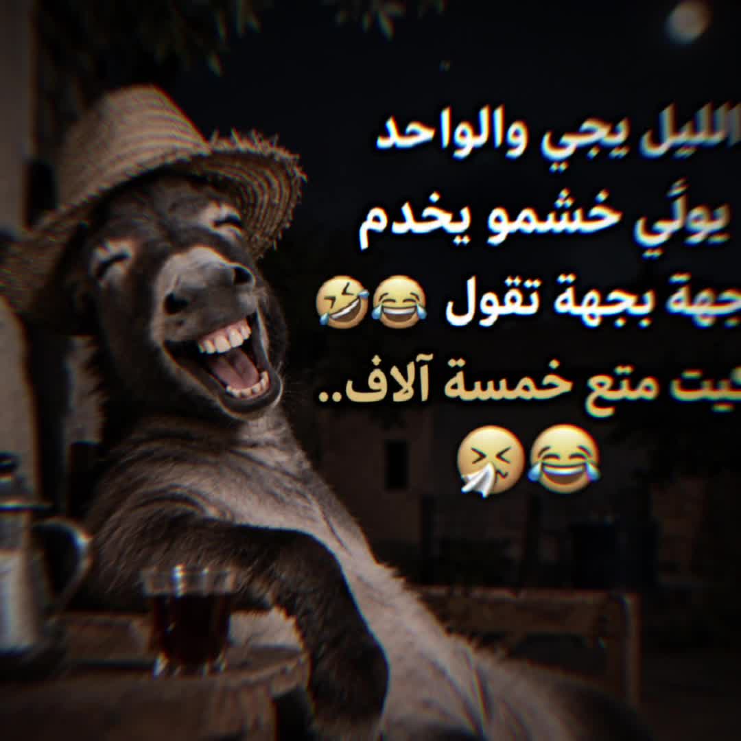 @🇹🇳SAYARI✨️سـتـوريـات🖤