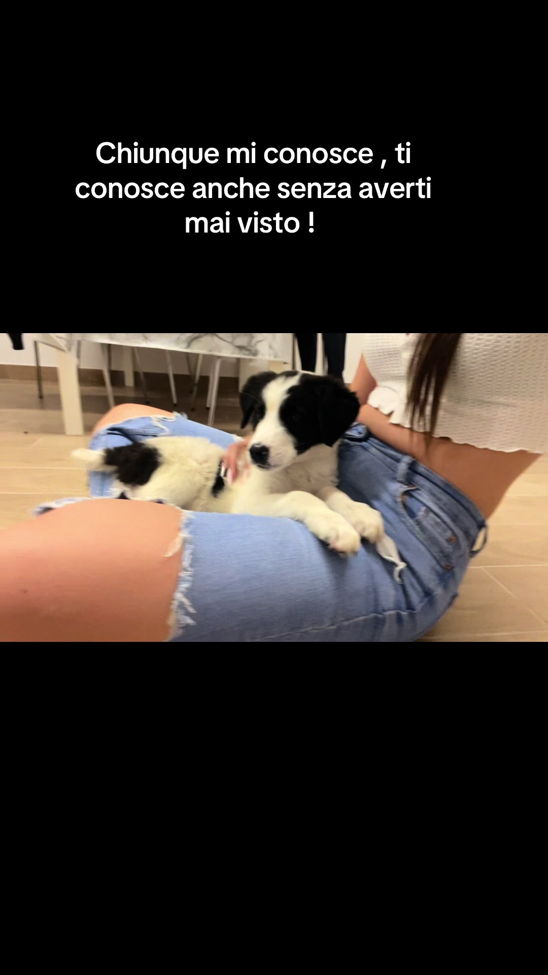 @noemii_noemiii