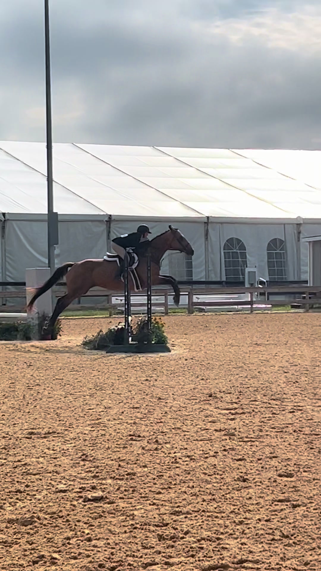 @Aftyn 🐎