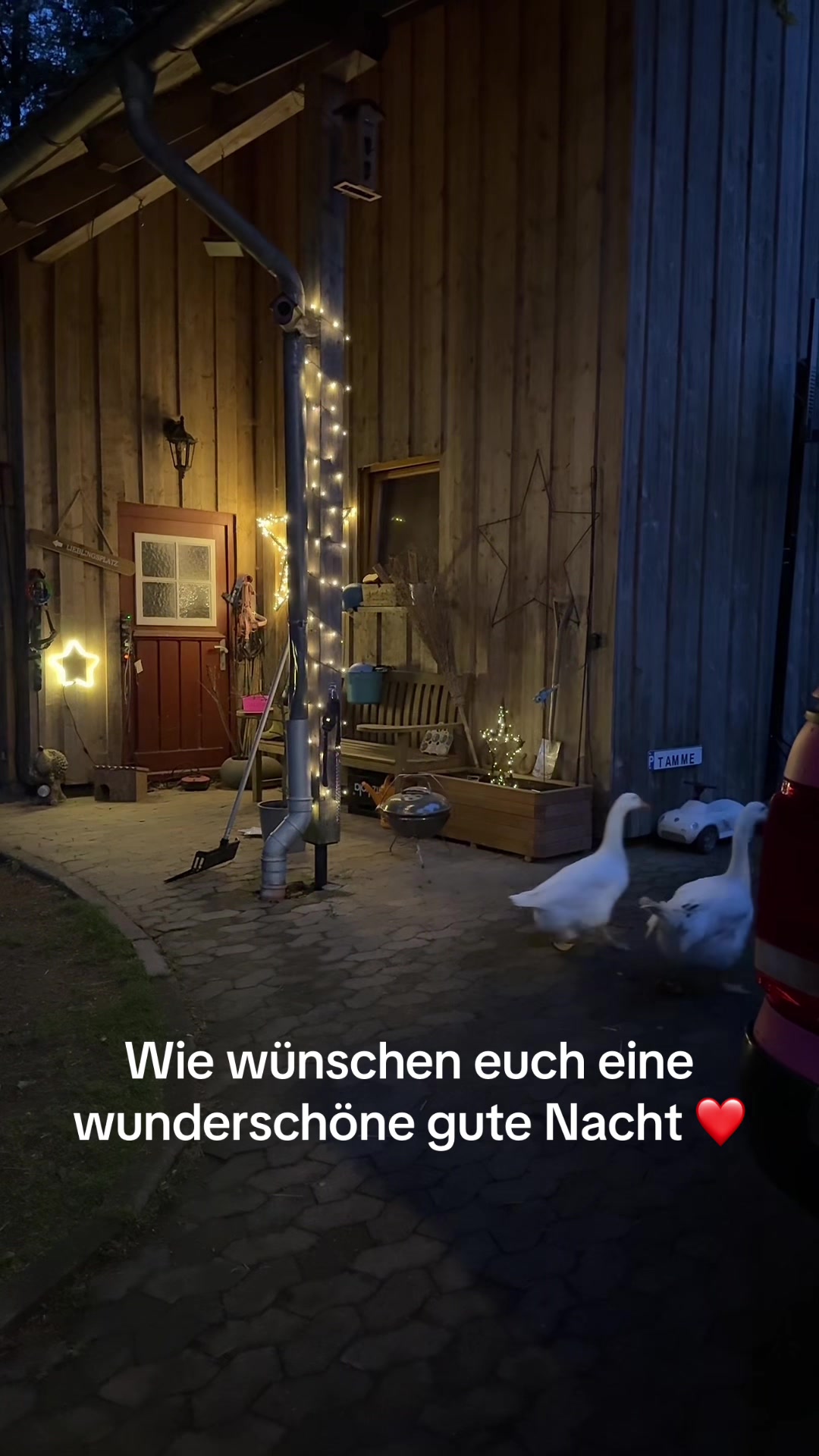 @HafiHorse2
