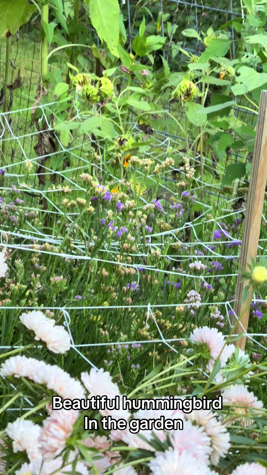 @dee.k64