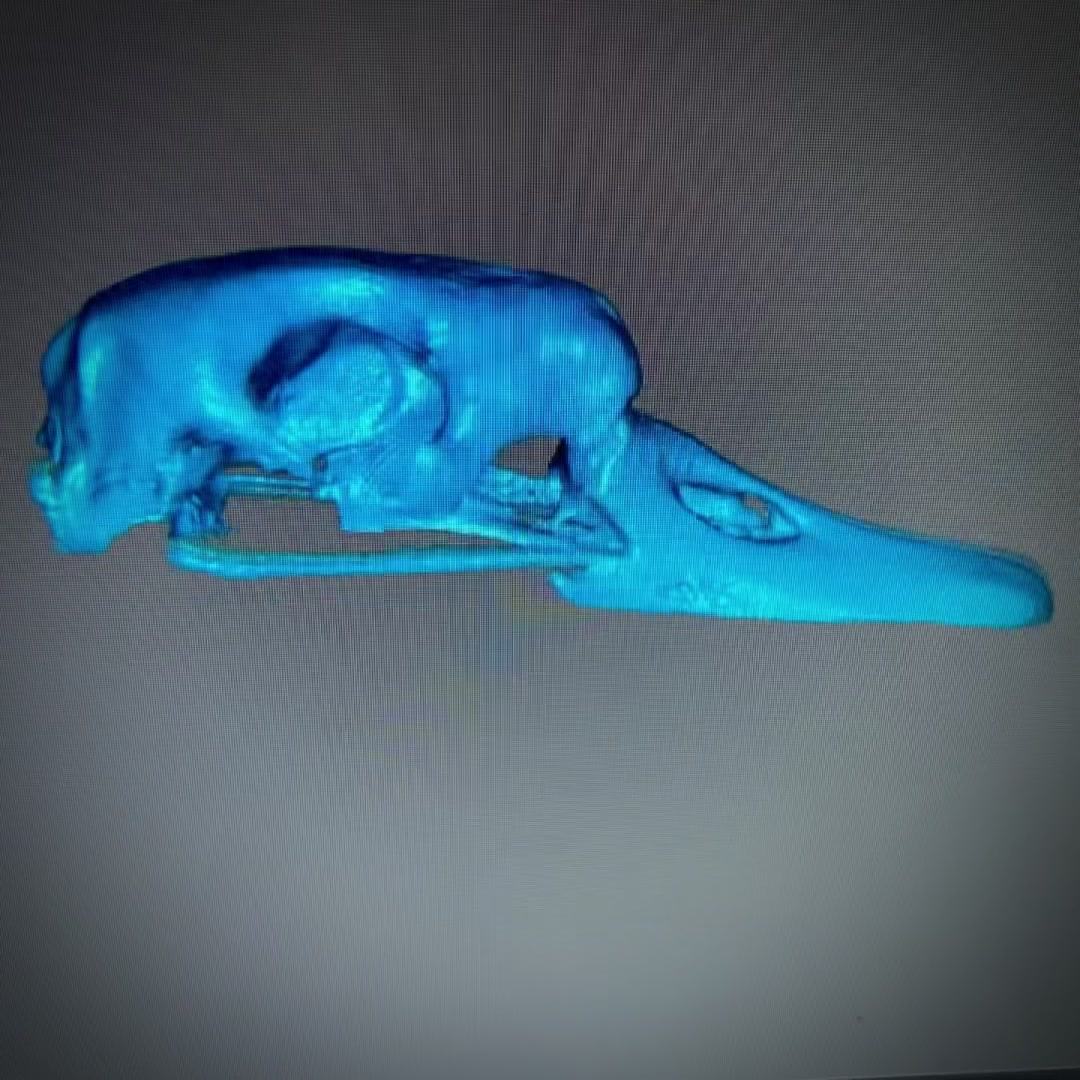 @Misterfeeneyart