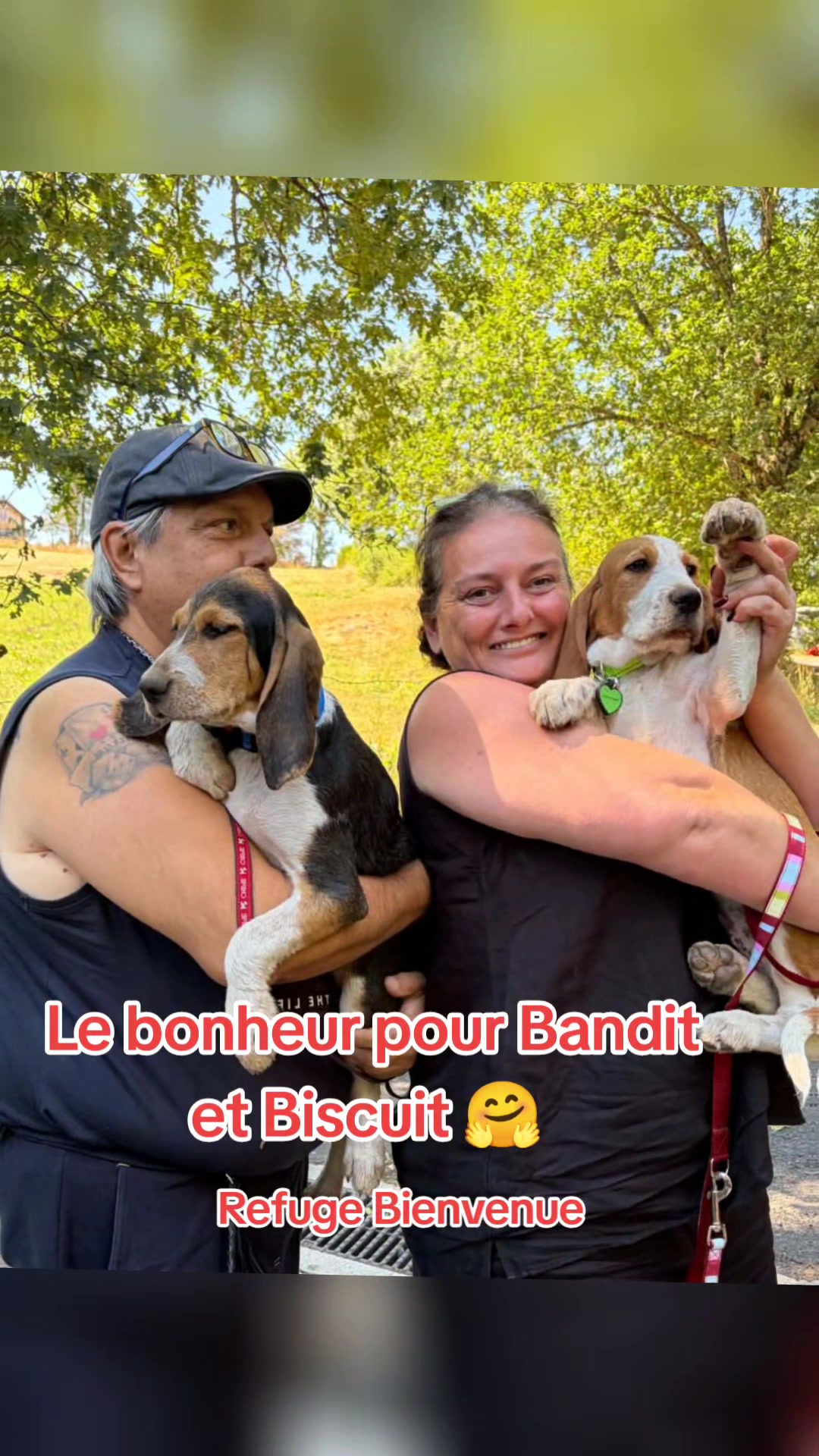 @refuge bienvenue
