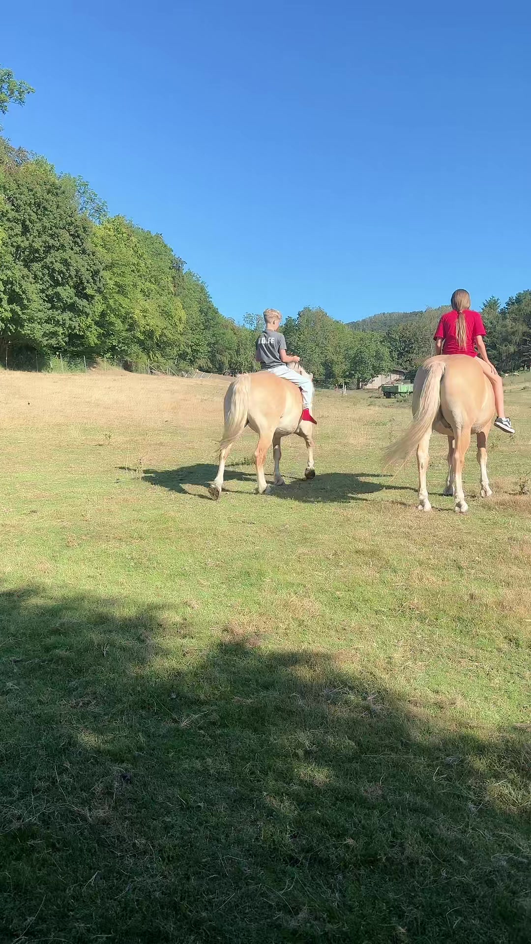 @HafiHorse2