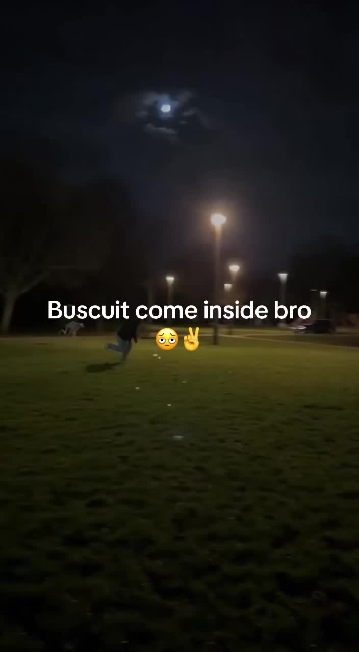 @Zisc