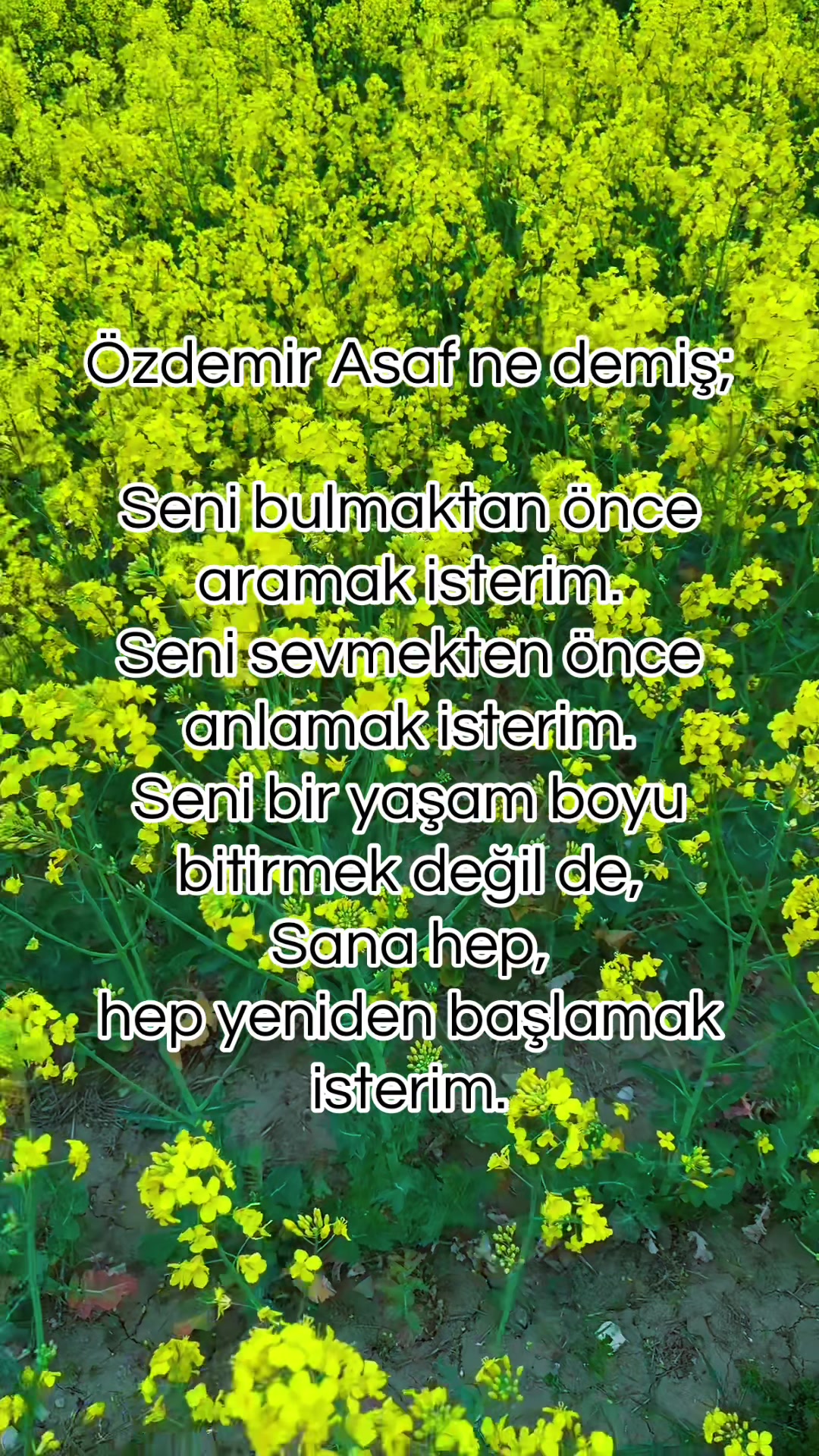 @GeCE & ASMİN