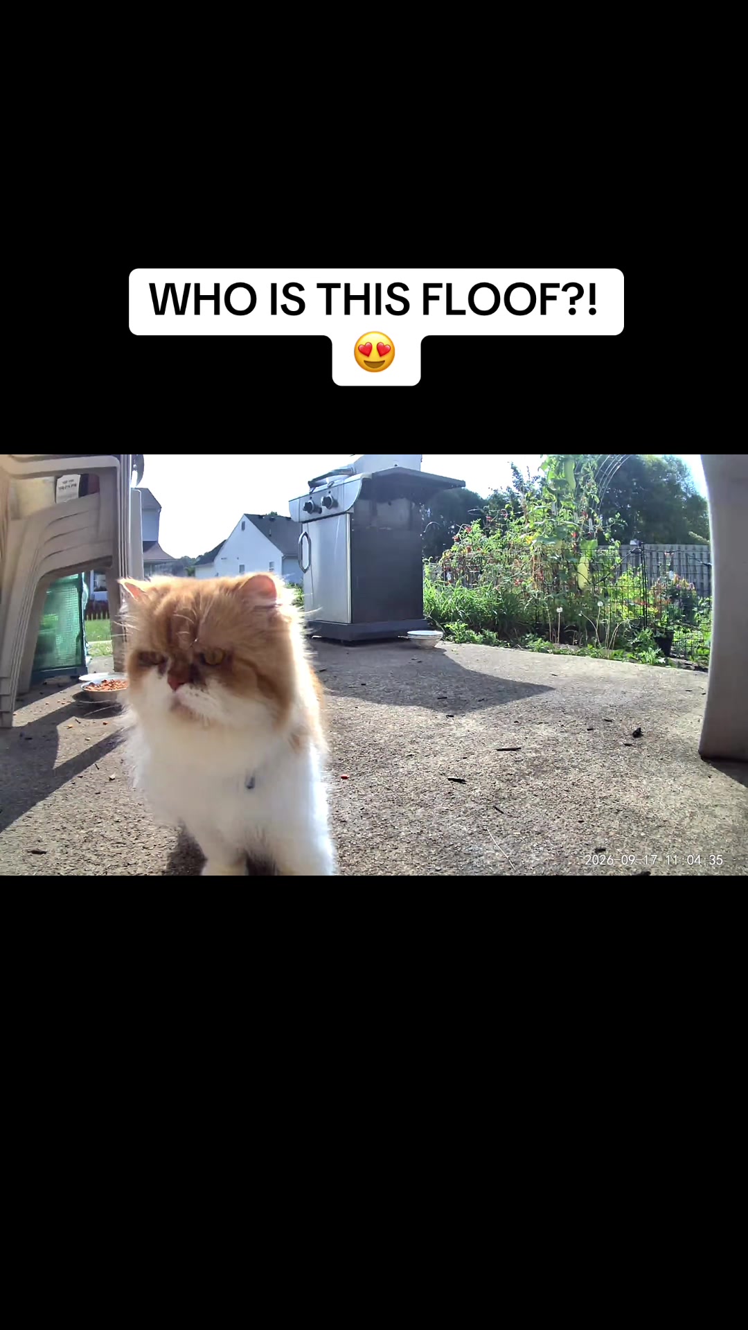 @ErinHessionWooton