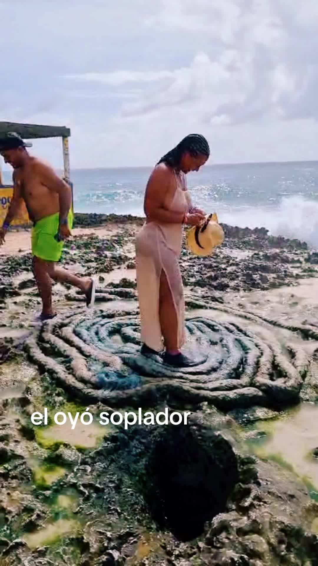 @NEGRA 45 +