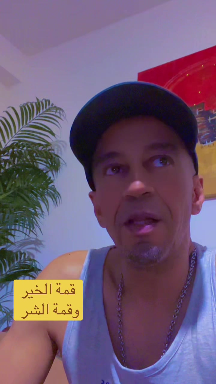 @المايسترو Maestro 1