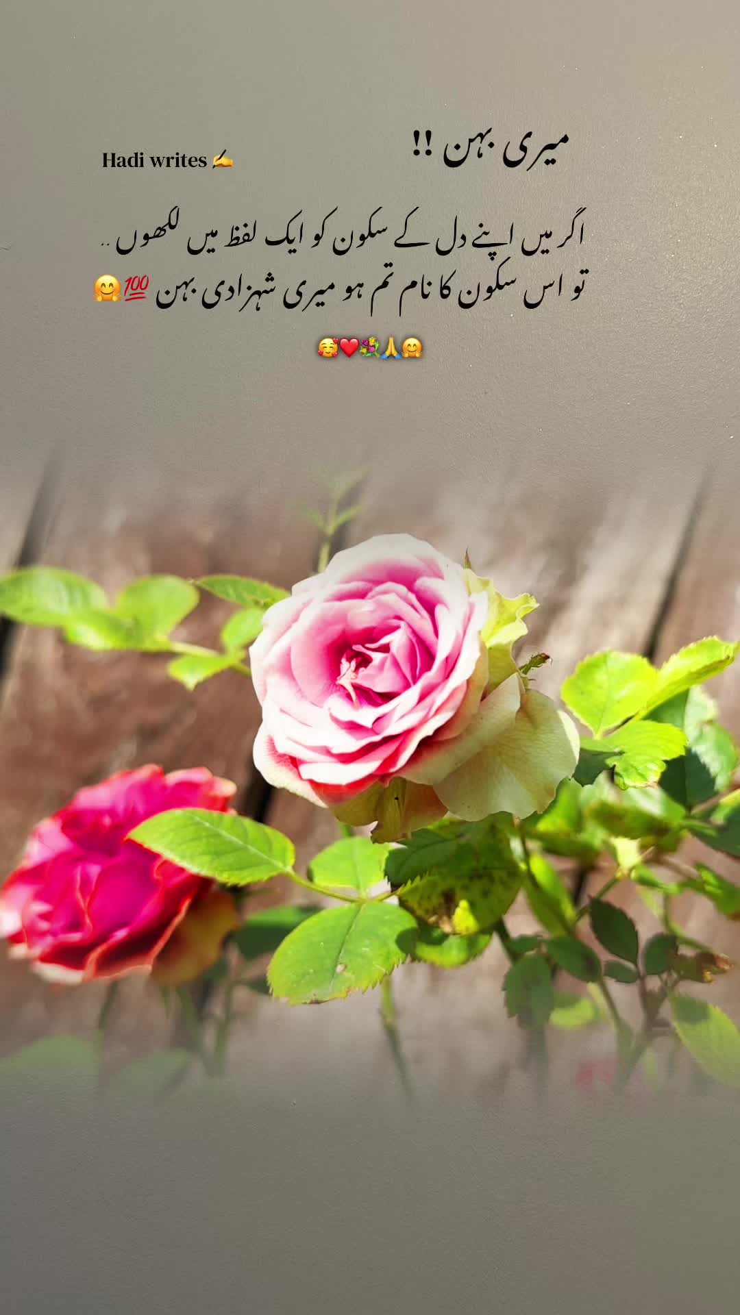 @Bhai Behen Quotes ✍️🥰🙏
