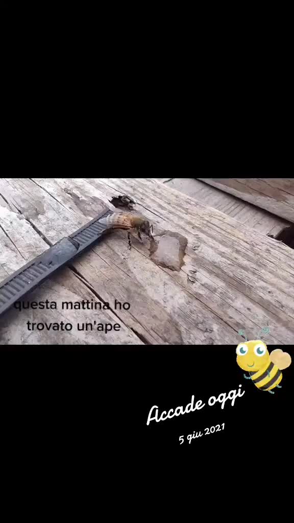 @Al10@