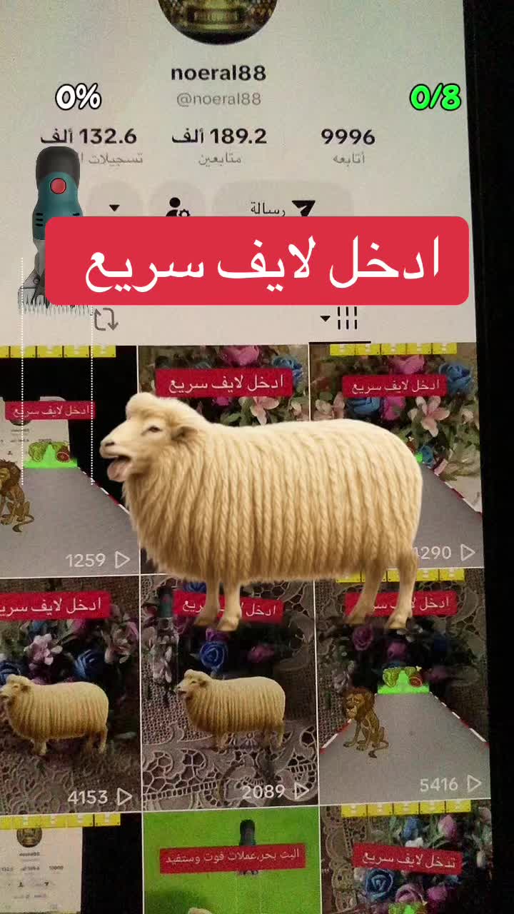 @noeral88