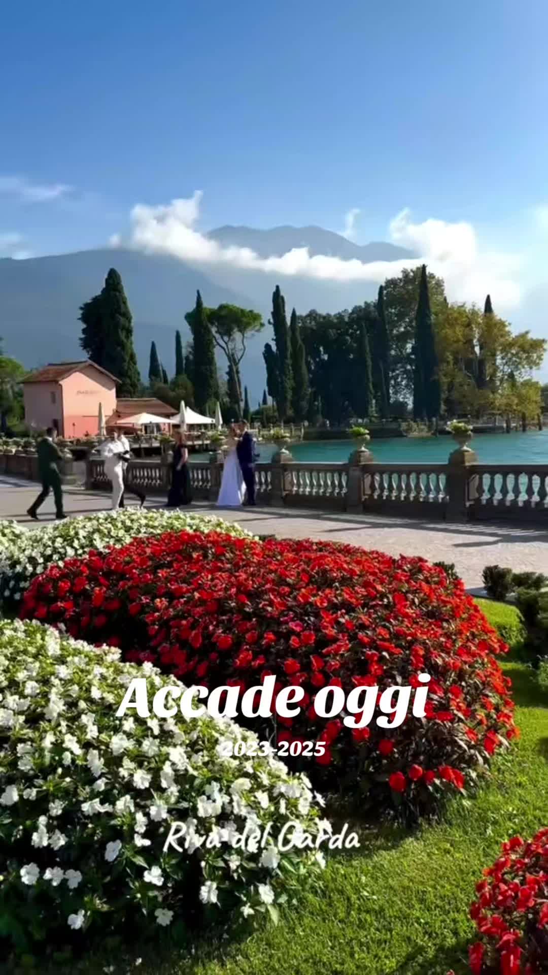@Antonia Vecchi