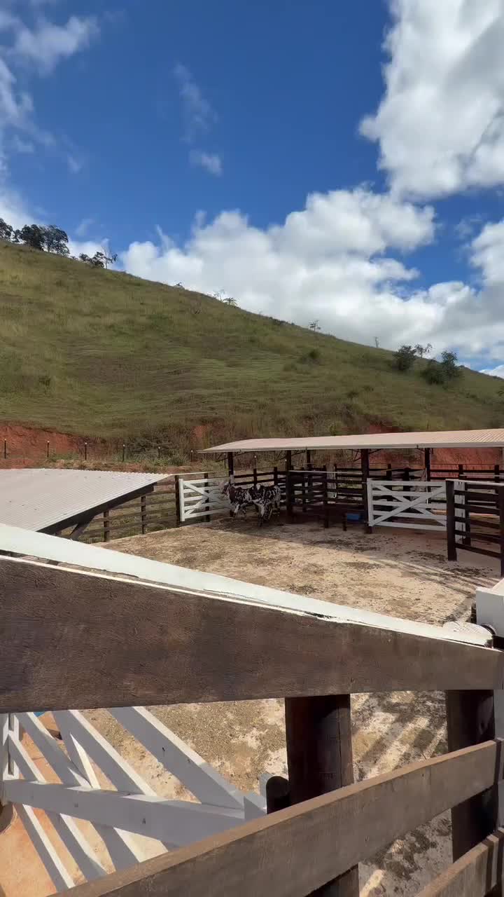 @léo silva