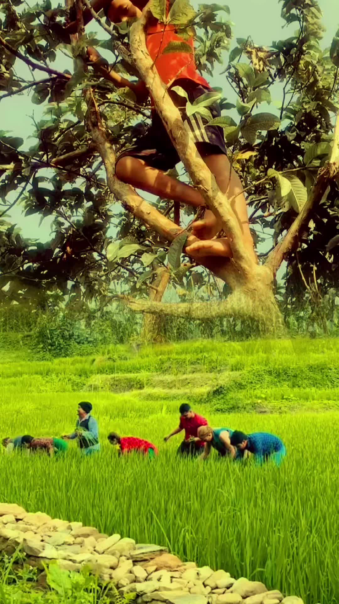 @Nanu Pantha