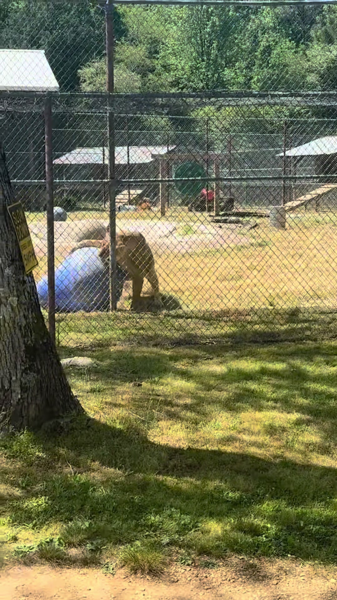@Cedarhill Animal Sanctuary