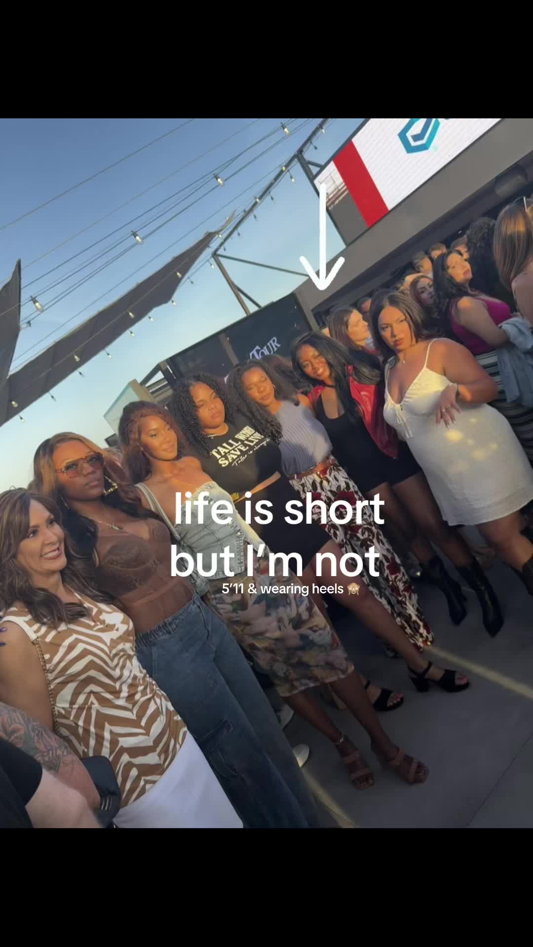 @tallgirltea