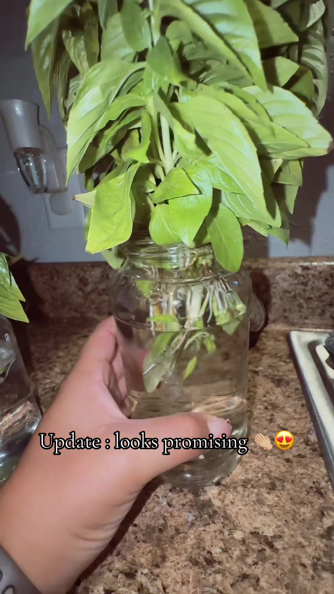 @lifewithspongy