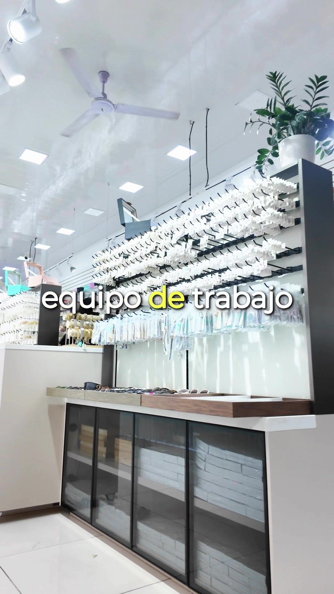 @Divino Cielo Accesorios