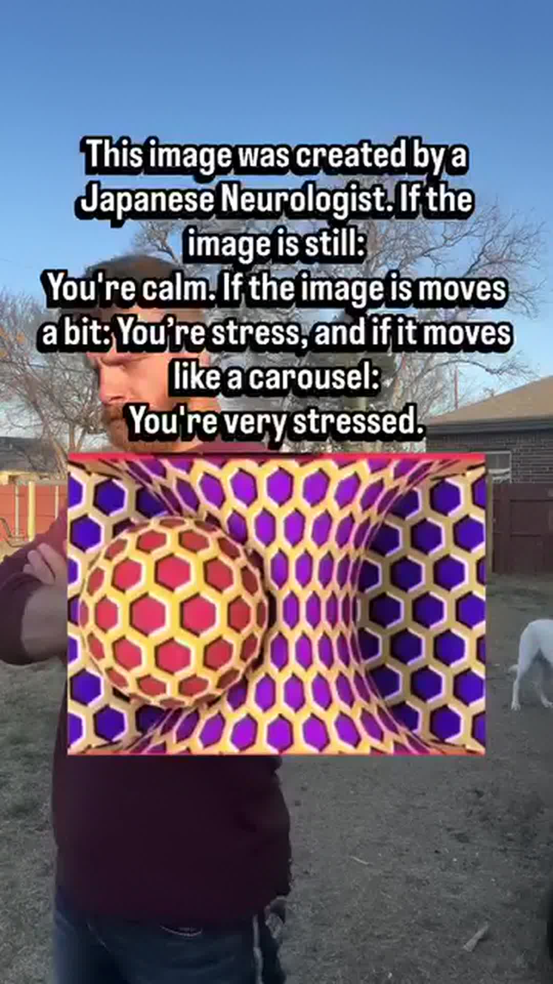 @Joe
