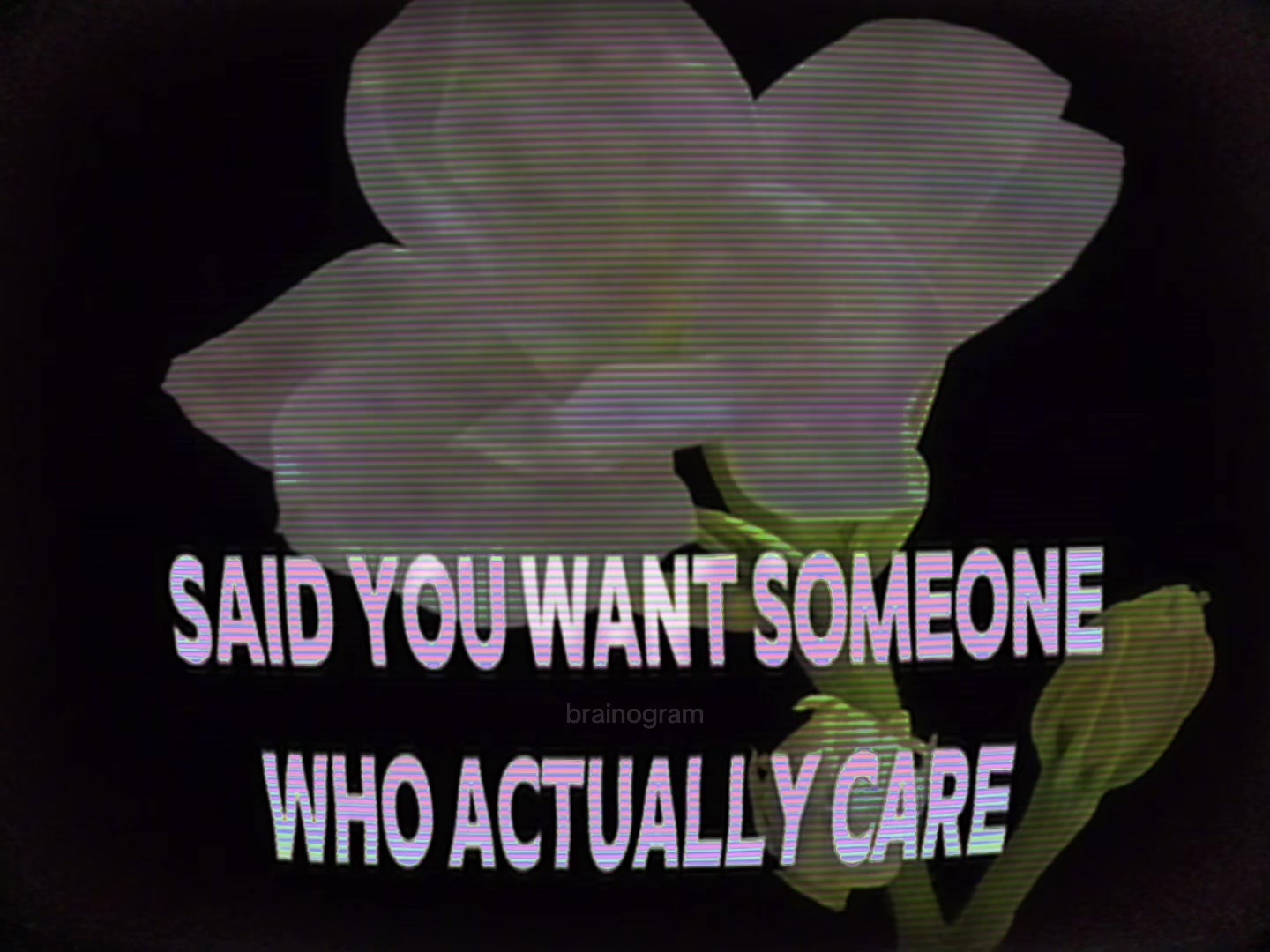@꩜𖦹༄