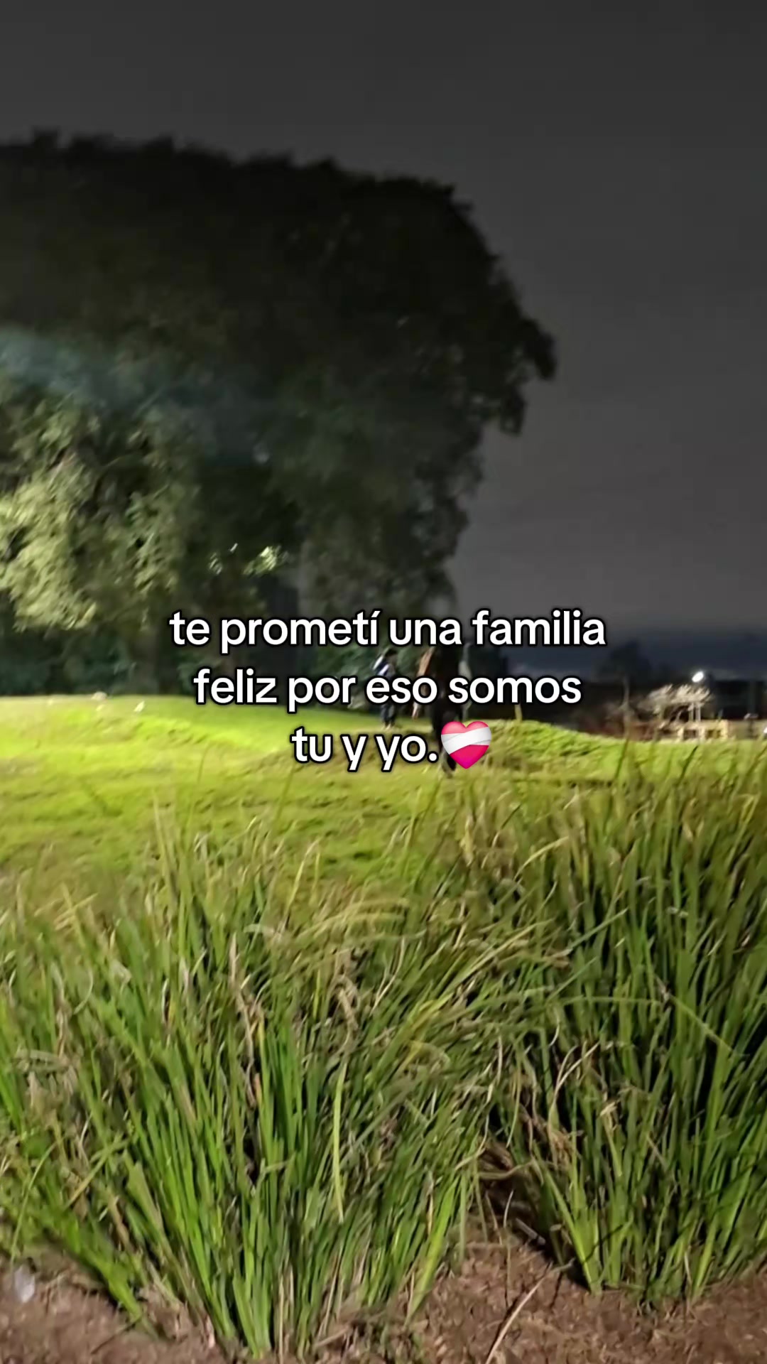 @Meil Margaret