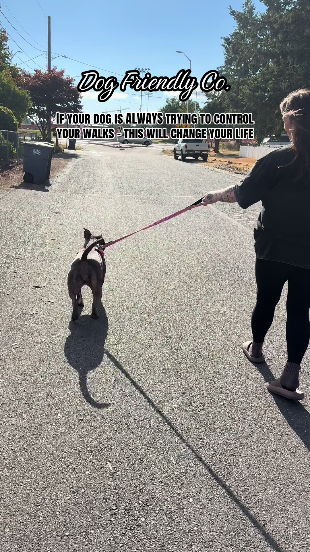 @kai•thedogmother🐾
