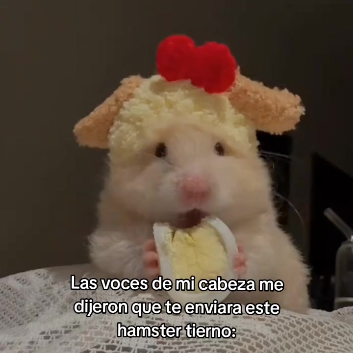 @goodvibessxd