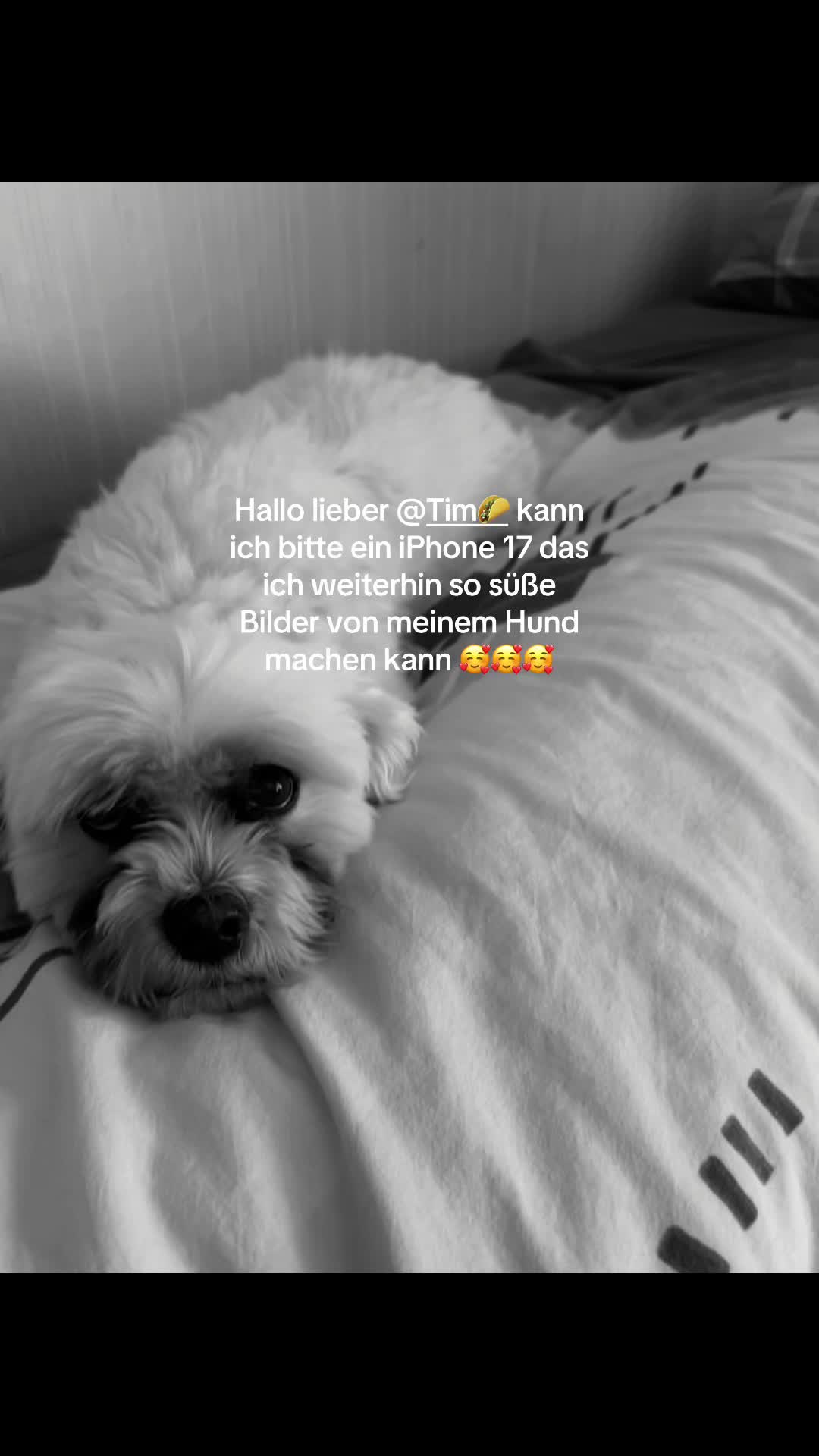 @Elina