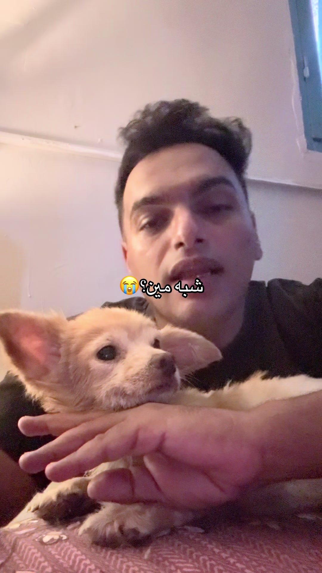 @mohammed and his cats😺