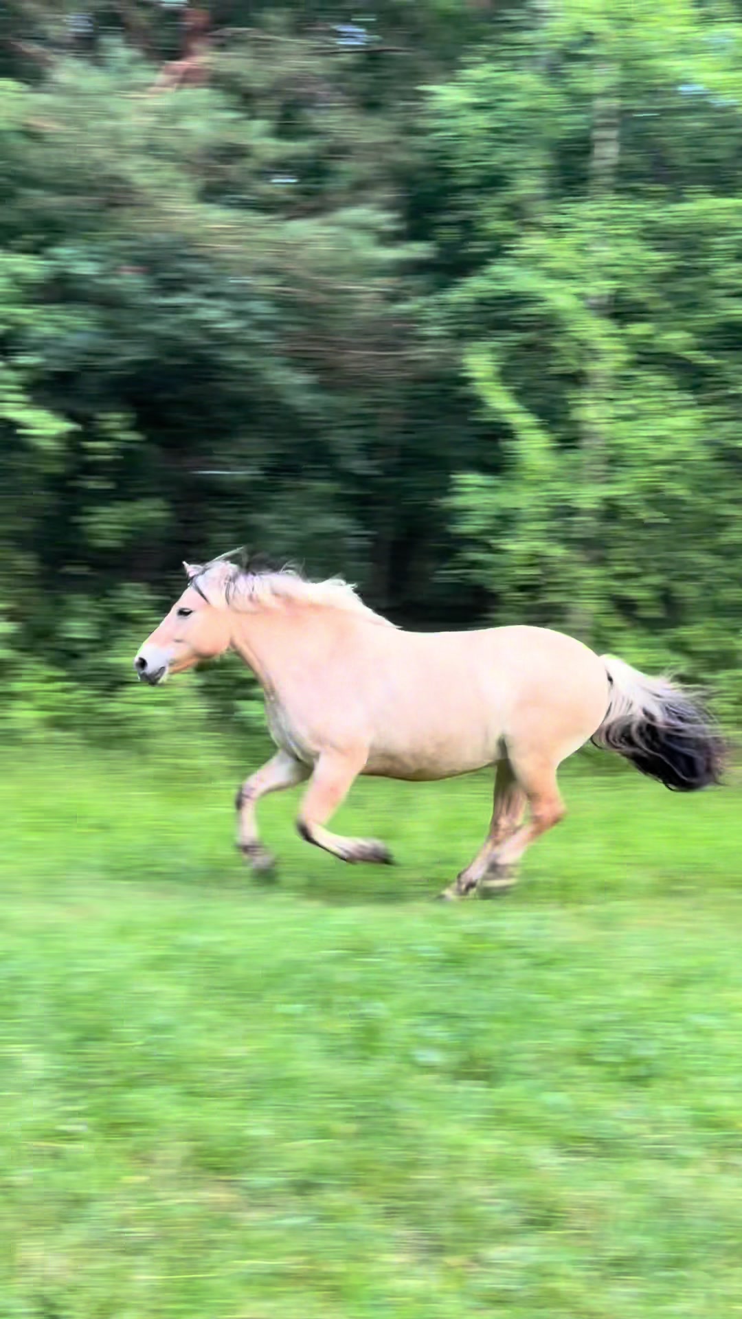 @kowalik_eq