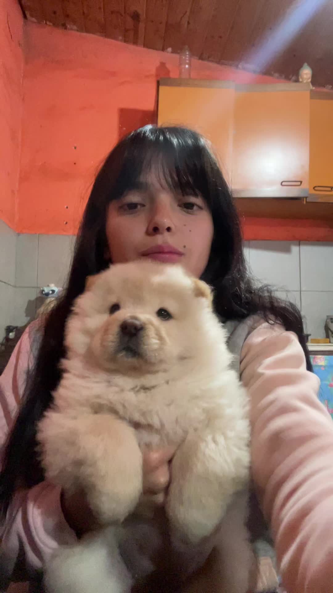 @Melany Villalba