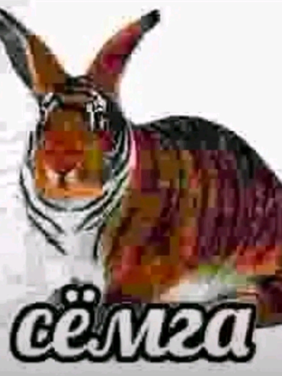 @бебра