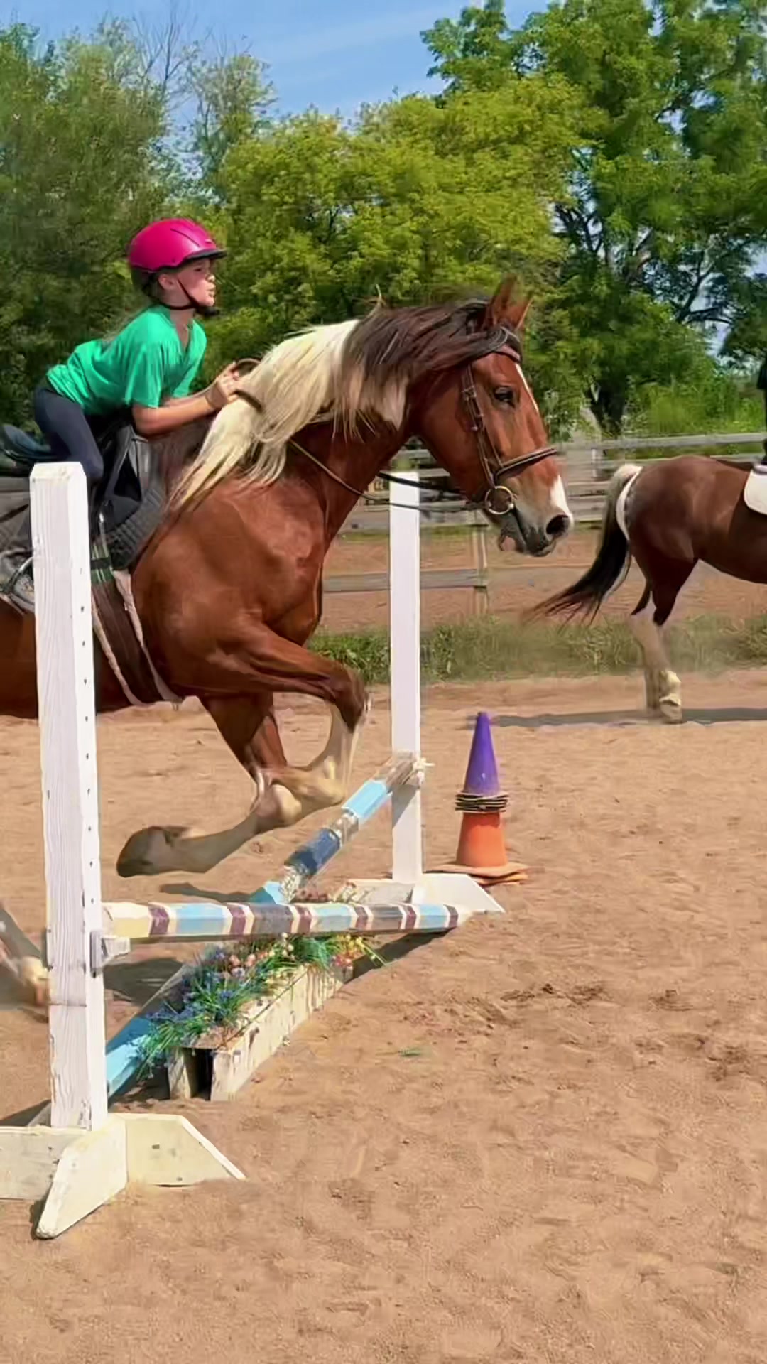 @Free Spirit Equestrian