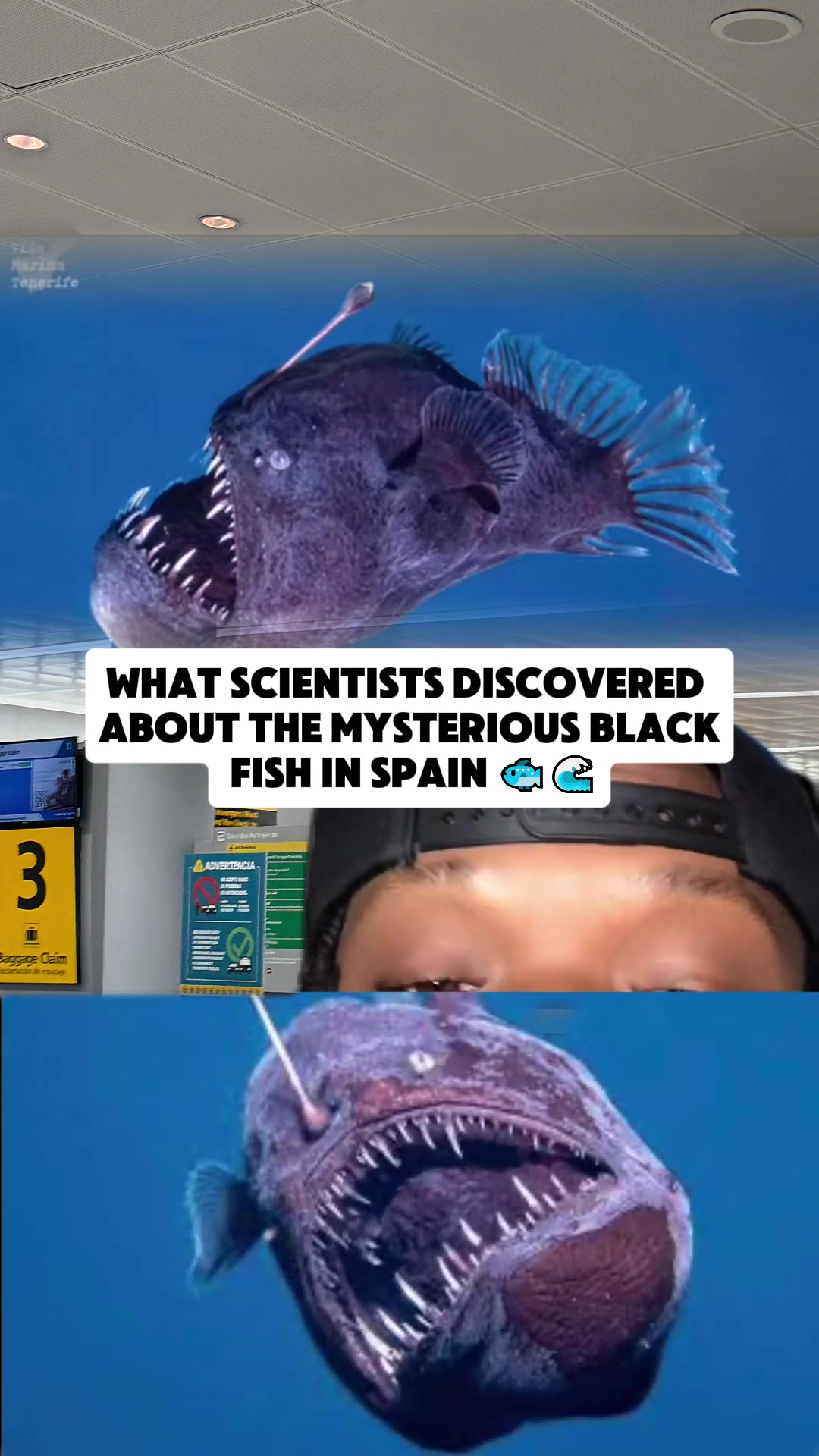 @w6e65hx6