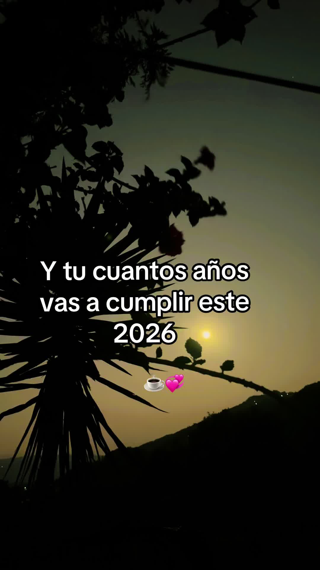 @Marta Sarat