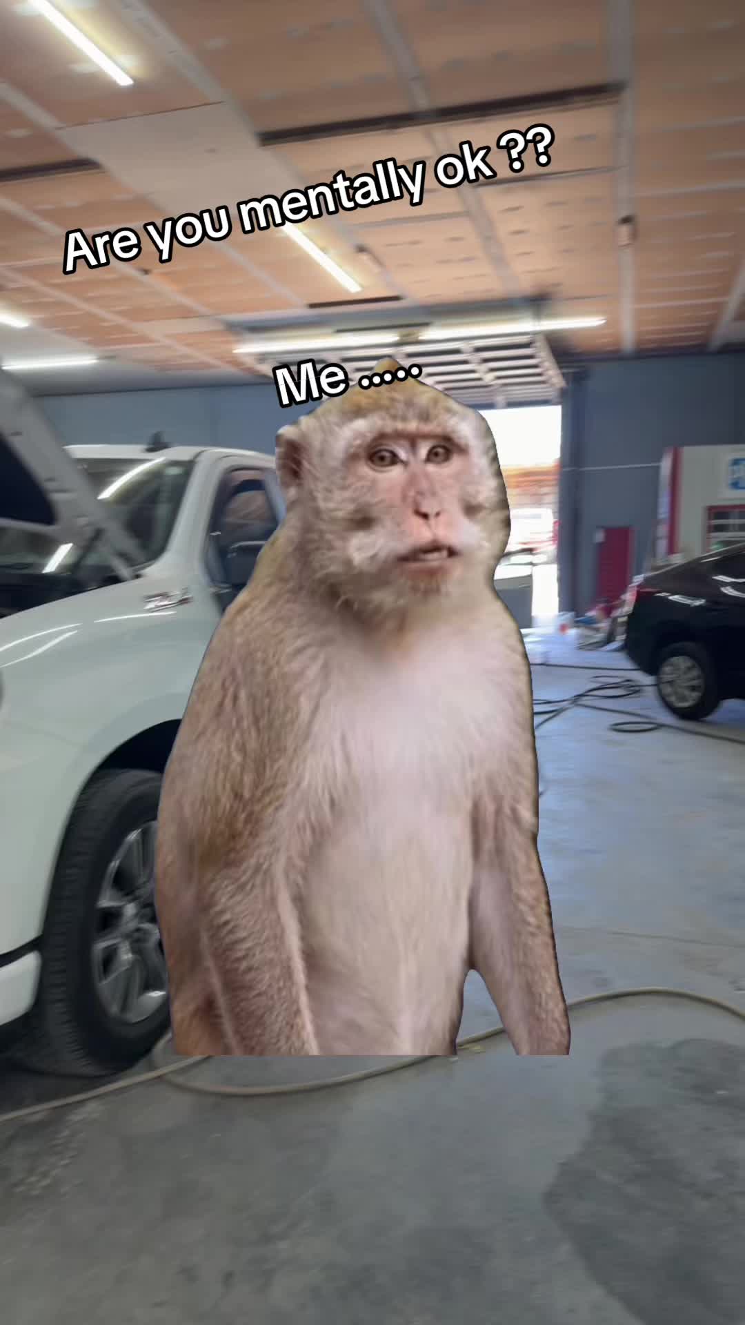 @Paintgunner