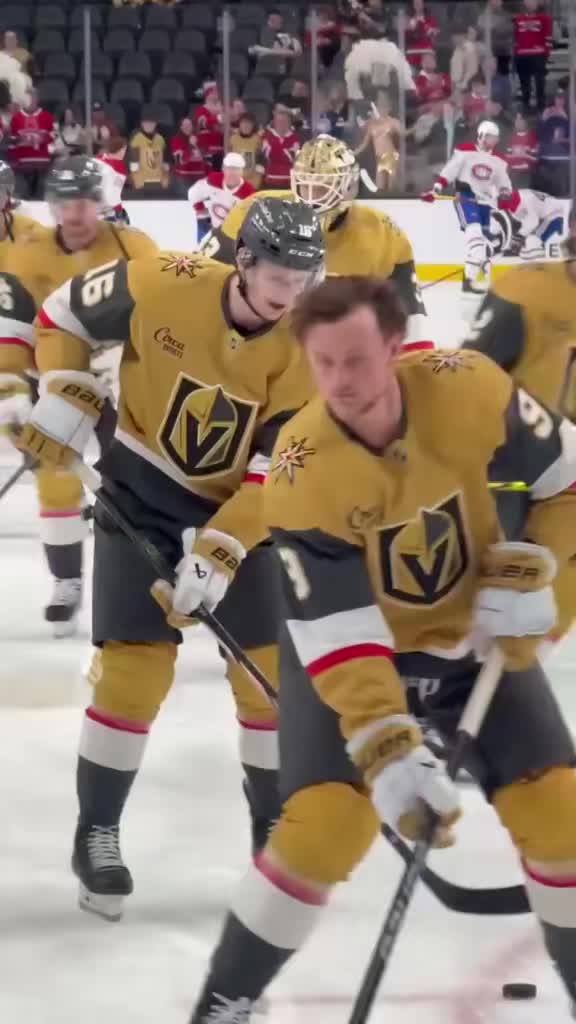 @vgkgoaliegirl🏒