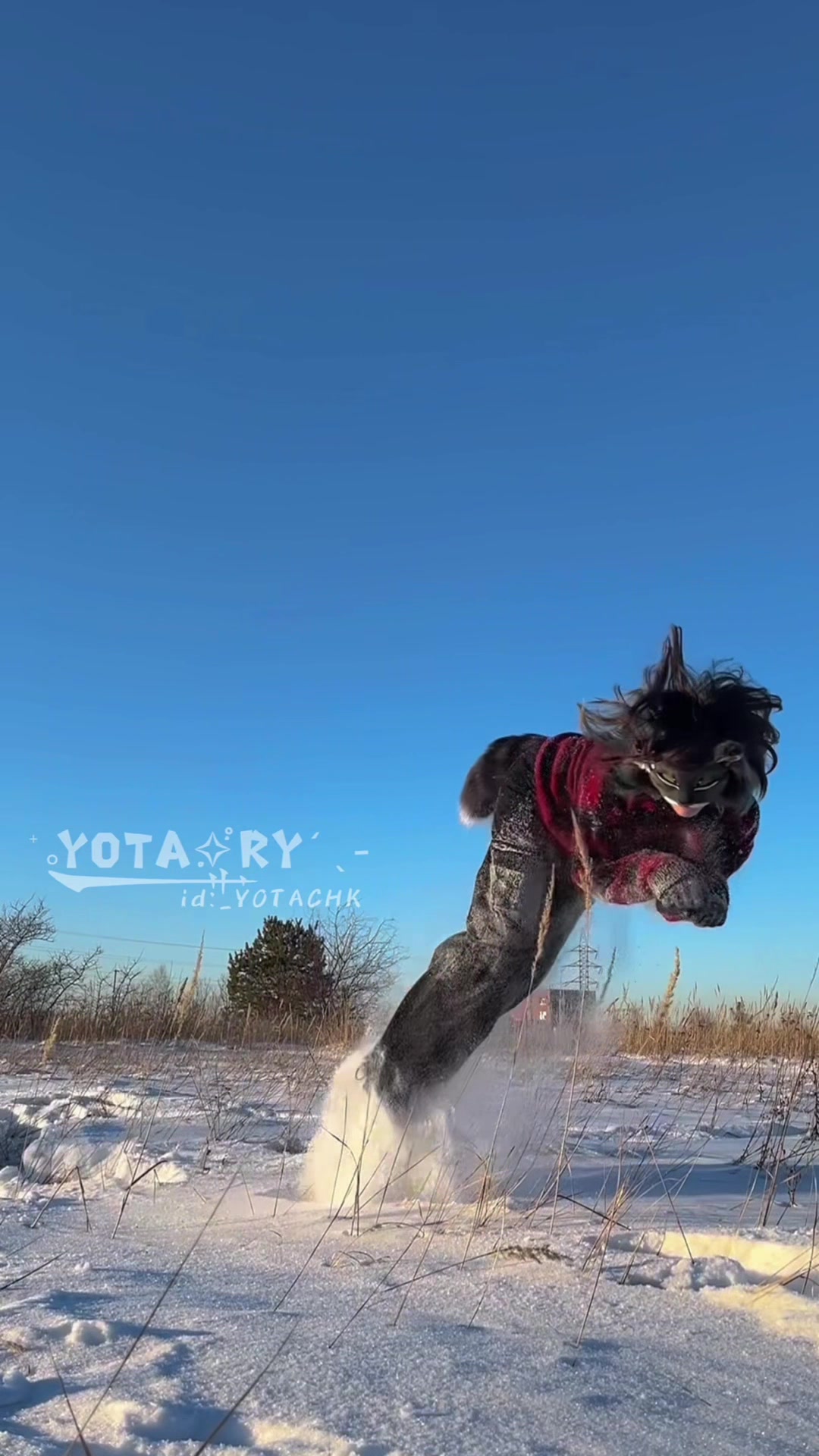 @‧.–'⟡yota.ry₊ ݁.