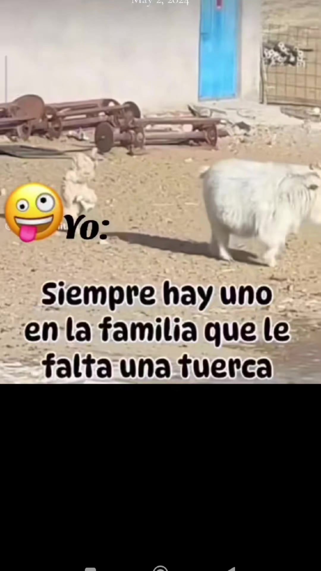 @mateoss 🇲🇽🪽💪🪽