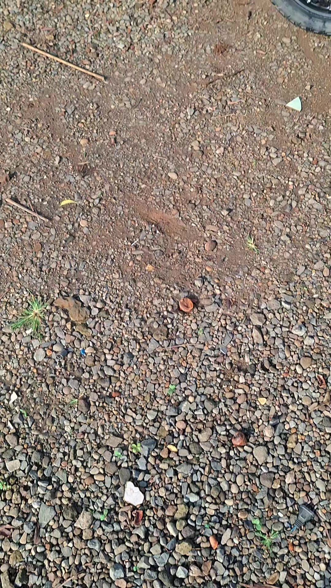 @tekek