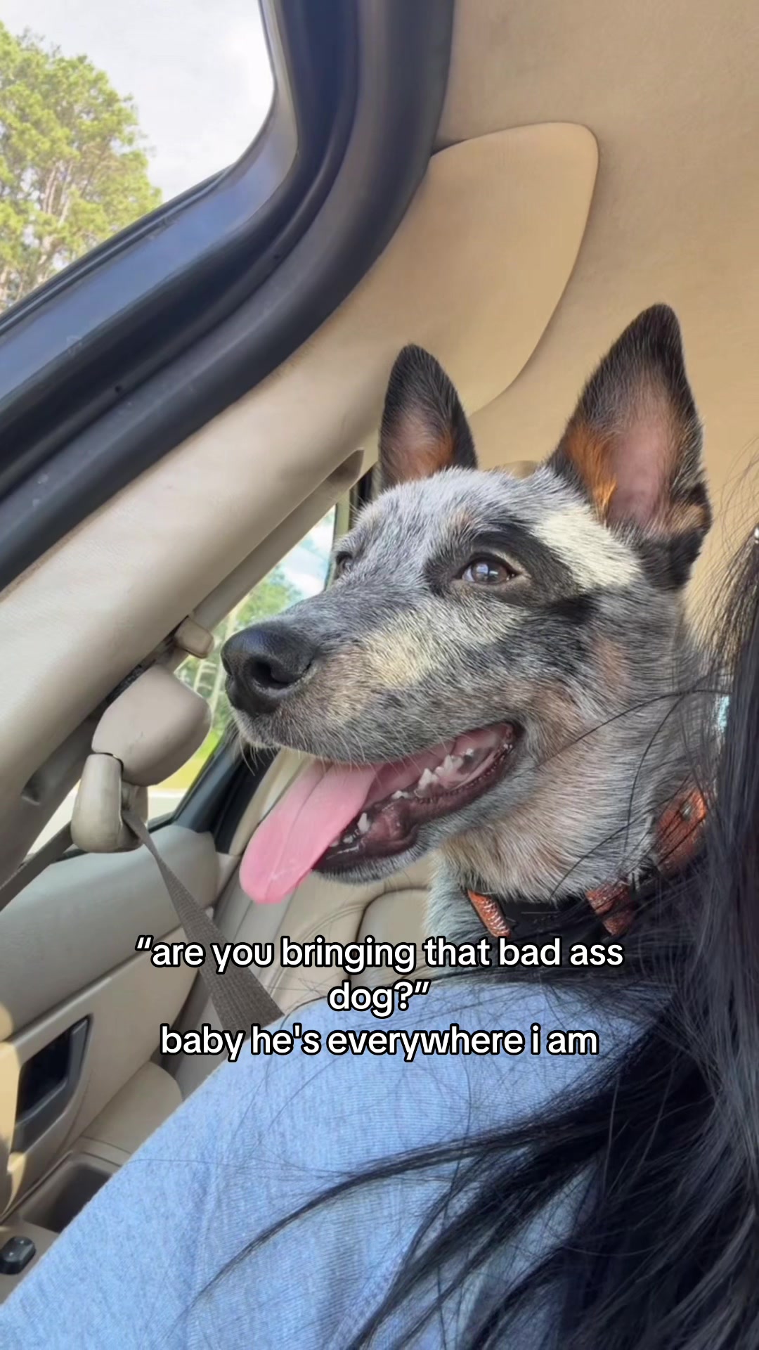 @dozer 🐾💞