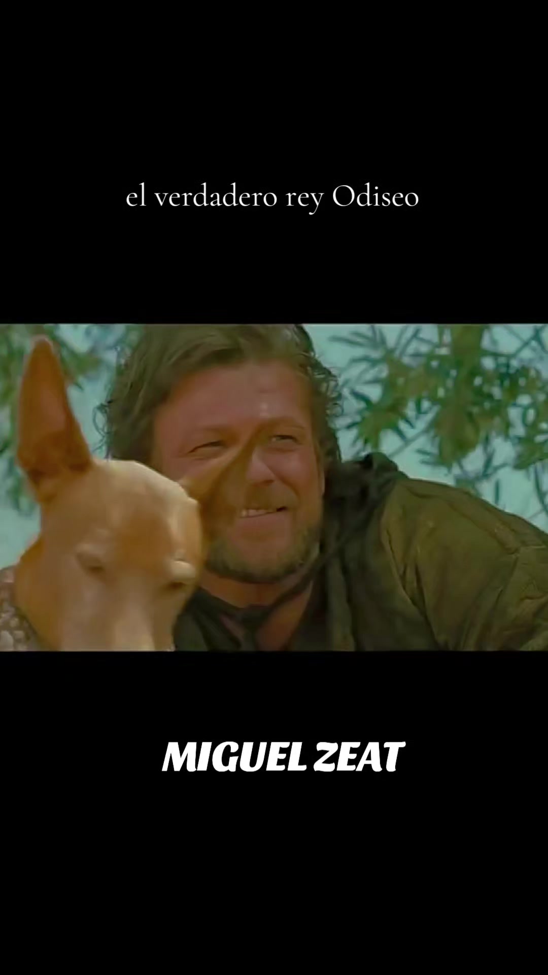 @MIGUEL ZEAT