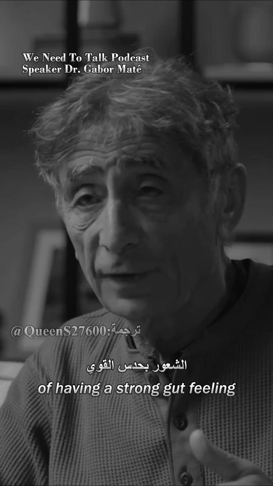 @sheba.translates