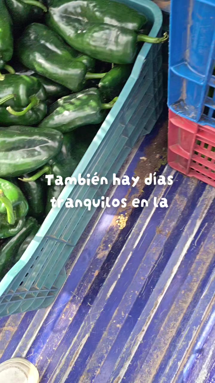 @Conecta-dos
