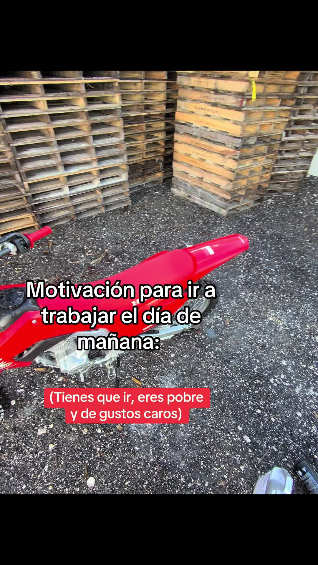 @🤖valdez